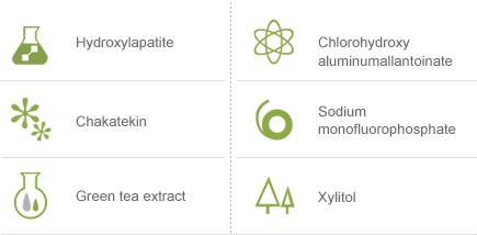 Hydroxylapatite / Chakatekin / Green tea extract / Chlorohydroxy aluminumallantoinate / Sodium monofluorophosphate / Xylitol